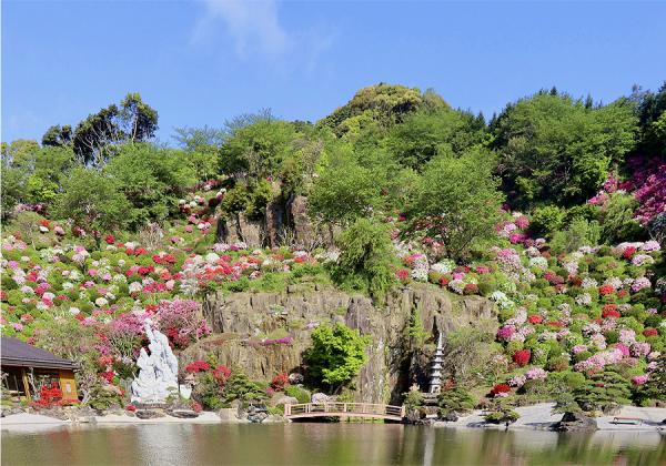 【福岡地区発着】させぼ花園と翡翠色の九十九島遊覧クルーズと食べると縁起がいい春告魚料理1