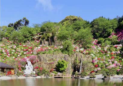 【福岡地区発着】させぼ花園と翡翠色の九十九島遊覧クルーズと食べると縁起がいい春告魚料理