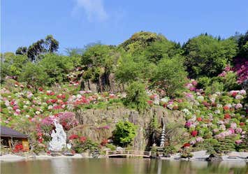 【福岡地区発着】させぼ花園と翡翠色の九十九島遊覧クルーズと食べると縁起がいい春告魚料理