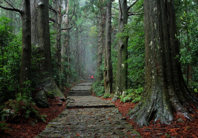 【旭川空港発】 お二人の伊勢・南紀・高野山周遊！５つ星の宿に3泊＜ホテル浦島：山上館指定＞の旅　4日間2