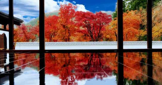 【茨城県内発】 ~一度は見たい幻想世界~「宝徳寺」床もみじ特別公開と NEWオープン!ぐんまフラワパークプラス 地産地消!3種から選べる「ぐんまのお肉」ランチ 日帰り