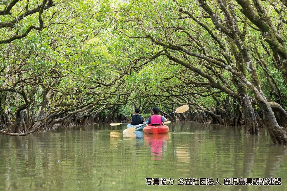 ＜鹿児島＞スカイマークで行く　自然・伝統・食に触れる奄美大島 2日間【神戸空港出発】1