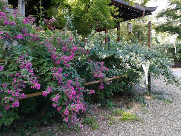 【滋賀県内発】 こんな旅してみたかった！初秋のおもてなしミステリーツアー　日帰り2
