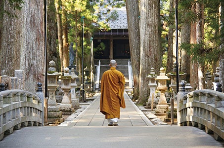【四日市発着】世界遺産高野山と阪急交通社オリジナル 春の桜御膳　日帰り　～神秘的すぎるパワースポット！春にめぐる天空都市「高野山」へ～1