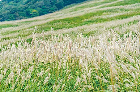 滞在中使える箱根フリーパス付！大自然に囲まれたリゾートホテル TAOYA箱根 3日間　＜箱根フリーパス＞滞在中、8つの乗り物に乗り放題！1