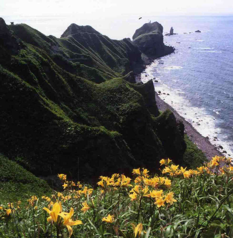 【ジョイフル本田ひたちなか店・荒川沖店・守谷店発】札幌・小樽・ニセコ３日間　漁解禁！積丹半島で食す「生うに海鮮丼」　～ワンランク上のホテル「ヒルトンニセコビレッジ」＆「グランドパーク小樽」に宿泊～2