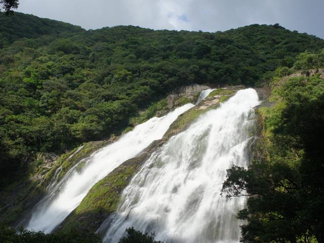 ■往復航空機利用で行く世界遺産「屋久島」≪フリープラン≫宿泊先を自由に選べるチョイスプラン　4泊5日3