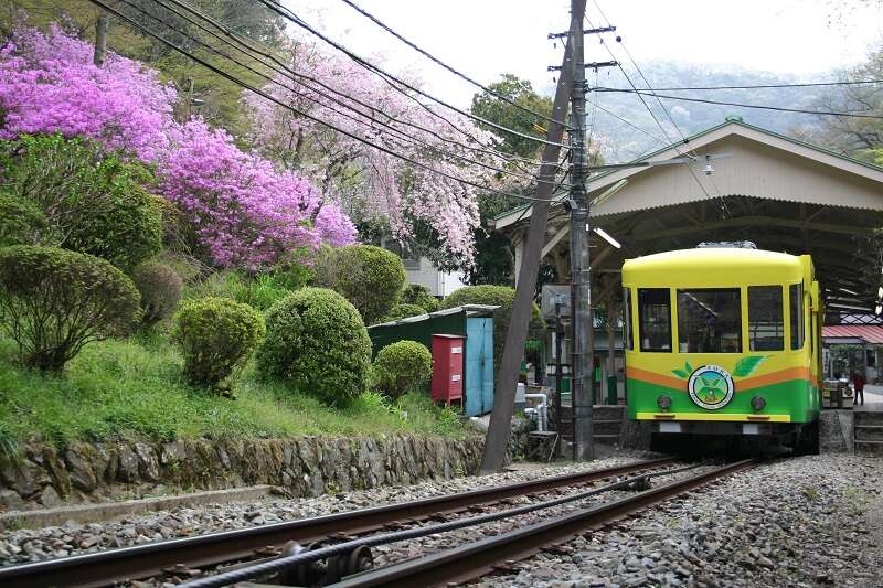 【高崎・本庄・籠原・熊谷・上尾・大宮駅発】 よみうり貸切列車で行く！春の高尾山ハイキング　～混雑を避けてらくらくＪＲ高尾まで直行列車♪～　日帰り3