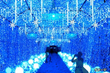 【新宿発】550万球の光が織りなす「時之栖イルミネーション」！！　いちご狩り食べ放題＆昼食弁当付き！話題のグルメスポット熱海で食べ歩きも満喫♪　日帰りバスツアー