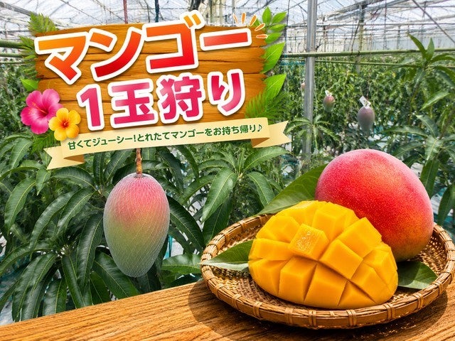 ■【静岡・山梨】はじける夏旅！まるごとマンゴー1玉狩り＆桃狩り食べ放題！スタミナ満点★うなぎ御膳！富士の麓に広がる夏色の楽園「花の都公園」へ♪1