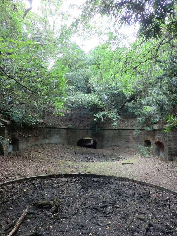 【泉州地区発】 歴史と自然の絶景を体感！無人島「友ヶ島」探索の旅　日帰り1