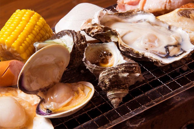 【新宿発】年末年始プレミアムツアー★寒い冬は南房総へ行こう♪　いちご狩り食べ放題＆大人気きよっぱち海鮮浜焼き食べ放題！！光と音で体感する「東京ドイツ村」イルミネーションも満喫♪　日帰りバスツアー1