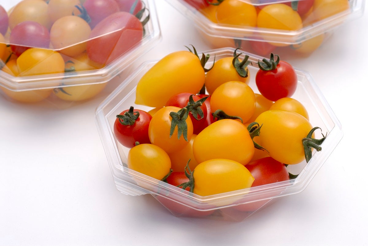 【寒河江・東根・天童・山形市内発】いつもありがとう！母の日ミステリー（日帰り）3