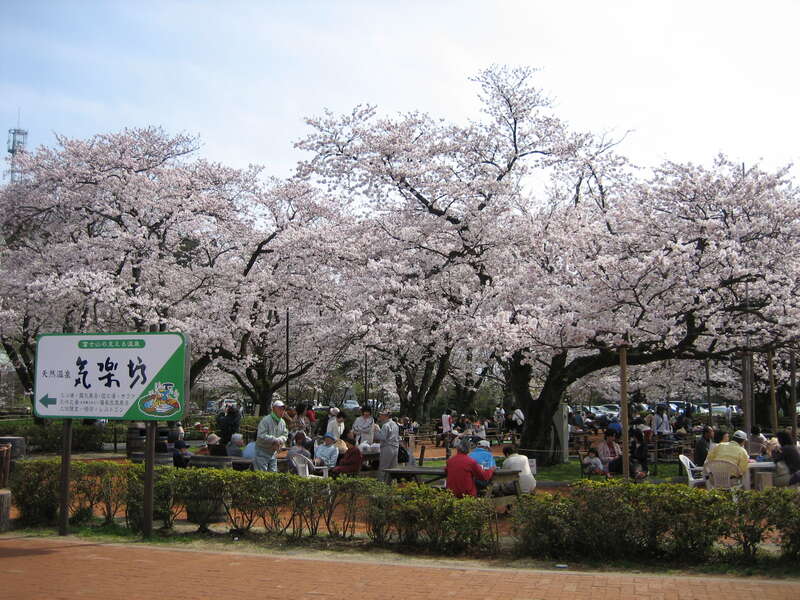 【埼玉県内発】 春らんまんミステリーツアー　日帰り3