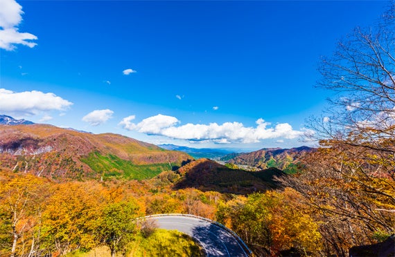 11/4催行決定★【新宿/東京発】世界遺産の日光山内で約2時間の自由散策！紅葉に染まるいろは坂と華厳の滝めぐる秋の日帰りバスツアー3
