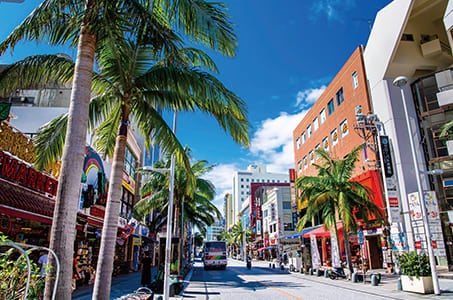 ANAで行く沖縄｜全室オーシャンビュー広々客室！アラマハイナ コンドホテル＆後泊 那覇≪レンタカー付≫5日間　60日前の早期申し込み割引実施中！ANAおよび系列航空会社で行く、価格変動型ツアー1