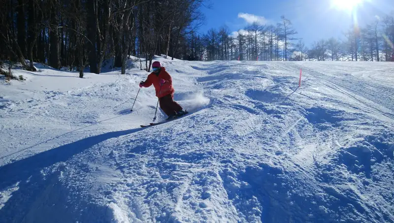 朝発バス日帰り／池袋発　エーデルワイススキーリゾート　滞在時間約6時間！関東有数のファミリー・初心者向けスキーリゾート1