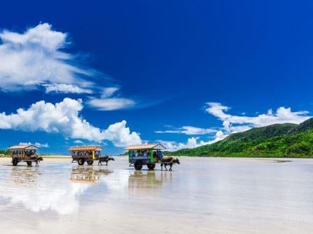 ◆中部国際空港発着！◆【ジャンボマーチ・添乗員同行】石垣島ビーチホテルサンシャイン新館に連泊♪　往復直行便で行く！八重山諸島4島めぐり 3日間【催行確定：3/18発】【中日新聞1/21掲載】1