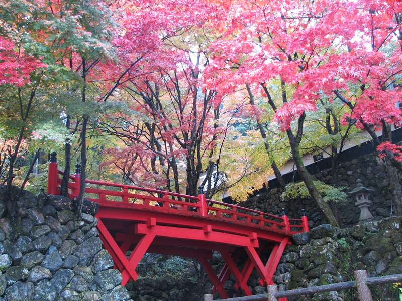 【富山県内発】 西美濃紅葉めぐり～両界山横蔵寺と谷汲山華厳寺～　と　優雅に「都ホテル 岐阜長良川」ランチバイキング　日帰り1