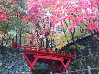 【富山県内発】 西美濃紅葉めぐり~両界山横蔵寺と谷汲山華厳寺~ と 優雅に「都ホテル 岐阜長良川」ランチバイキング 日帰り