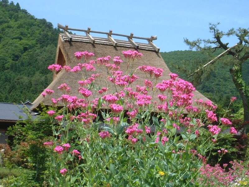【大阪府内発】 「丹波篠山国際博　日本の美しい農村、未来へ」 篠山城大書院プロジェクションマッピングと丹波篠山郷土料理「牡丹鍋」　日帰り3