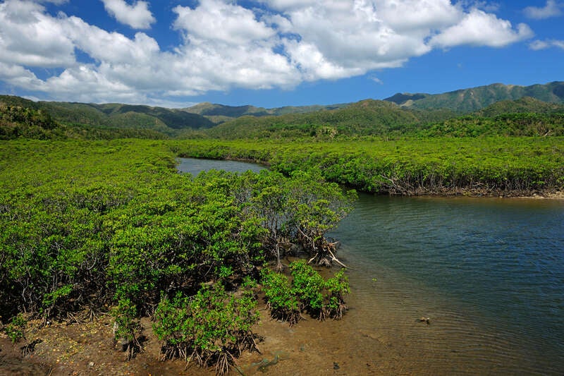 【新千歳空港発】 郷土芸能と共に食を楽しむ、八重山の夕べと4島巡り～石垣島・西表島・竹富島・由布島～（4日間）1