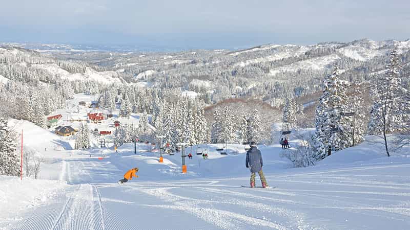 【所沢朝発】ぶっとび！日帰りスキー＆スノボ｜上越国際スキー場（リフト券付）2