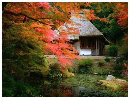 【広島駅新幹線口／日帰り】お寺で精進料理≪島根・龍雲寺≫吉水園秋の一般公開 ～紅葉の名所・龍雲寺と吉水園～1