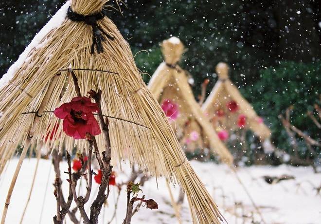 新春の出雲路ぐるり周遊2日間【大和八木・橿原神宮・五位堂発】2