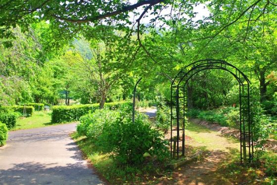 【バスハイク／博多発着】 添乗員同行 春の筑豊さんぽ 可愛いひよ子の工場見学と茶寮このみで和ランチ 福智山ろく花公園と 今年リニューアルオープンのもち吉工場直売所3