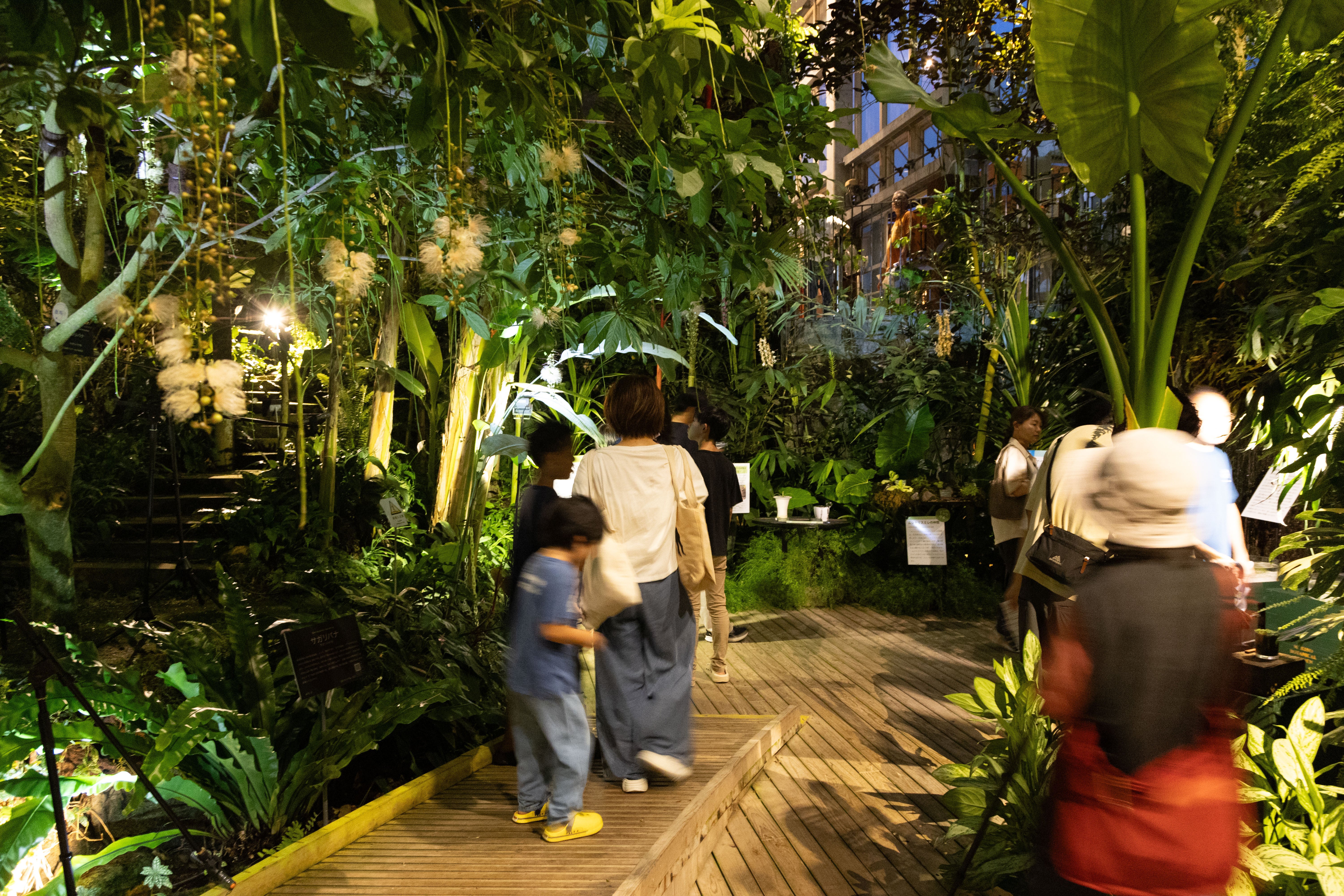 【Ａ/新山口・徳山発】 牧野植物園（南園）夜間貸切・竹林寺ライトアップと土佐の休日 ２日間2