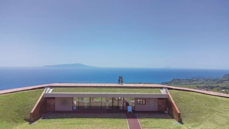 【東京駅・品川駅・横浜駅発】 【列車+観光】＜WEB予約・カード決済限定＞往復踊り子号利用！ “海”と“空”が広がる紺碧の世界と一体になれる伊豆の名所、小室山リッジウォーク“ＭＩＳＯＲＡ"　日帰り1