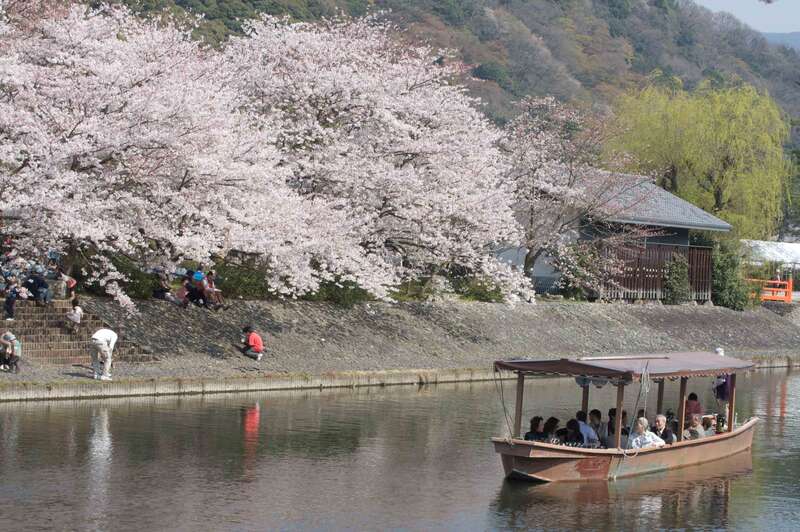 【和歌山県内発】 宇治川お花見遊覧船と桜のトンネル「背割堤」＆ケーブルで行く石清水八幡宮　日帰り2