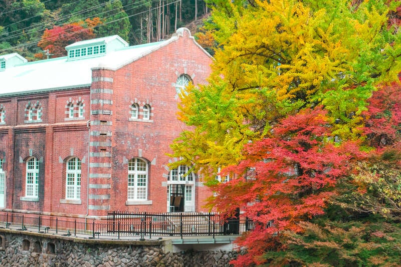 【愛媛県内発】 ＼緊･急･発･表／お土産１kg & 日帰り２食付 & ３つの紅葉めぐり　愛媛よくばり旅の1・2・3バスツアー　日帰り2