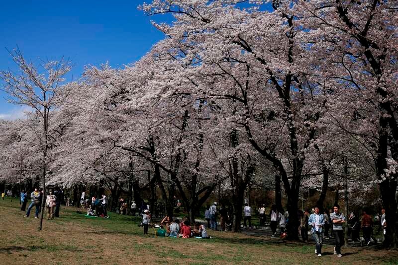 【米子空港発】 よみうり伊香保温泉まつり　3日間2