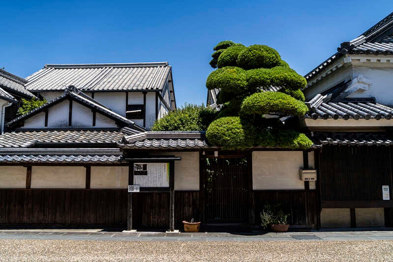 【大分・かんたん・北浜・別府発】 ～300年の歴史を誇る老舗酢蔵直営～レストランSHOUBUNのビネガーランチと石橋文化センター・秋のバラ庭園＆筑後広域公園・赤いそばの花・高嶺ルビー　日帰り3