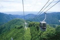 【羽島・うずら・岐阜・各務原発】＊日帰り昼食付＊『阿智村花桃とちこり村ランチビュッフェ』3