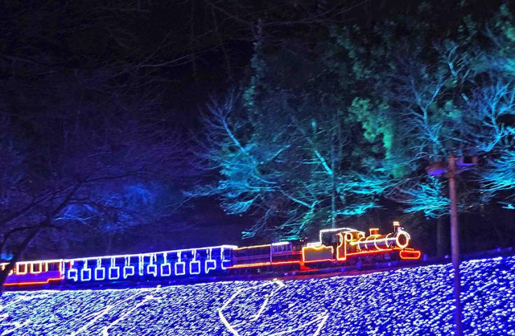 【愛犬同伴プラン】(1/31)大リニューアル!!修善寺虹の郷『イルミtheナイト』鑑賞＆伊豆・三津シーパラダイスでイルカショーや海の生き物を見学する日帰りvipわんツアー！1