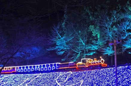 【愛犬同伴プラン】(1/31)大リニューアル!!修善寺虹の郷『イルミtheナイト』鑑賞＆伊豆・三津シーパラダイスでイルカショーや海の生き物を見学する日帰りvipわんツアー！