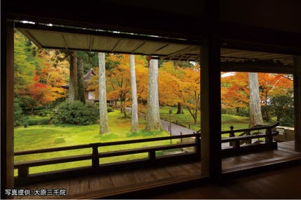 <京都>紅葉の京都・洛北から東山界隈へ 大原三千院とモミジの永観堂【明石・西神中央・緑が丘出発】