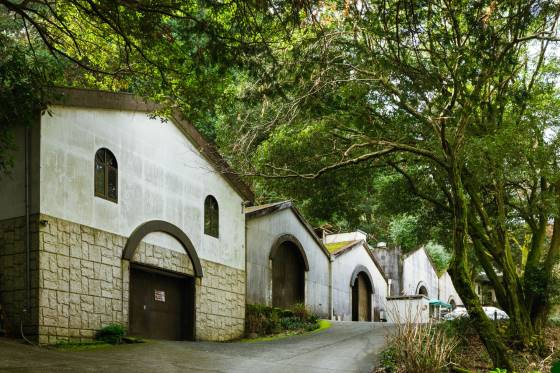 【バスハイク／天神発着】 添乗員同行 ほとめきの街久留米 巨峰ワイナリー・ごま焼酎で有名な紅乙女酒造 森のレストラン「HEURIGE」ランチ ～ワインと焼酎、久留米の味と香りをめぐる大人の美味探訪～1