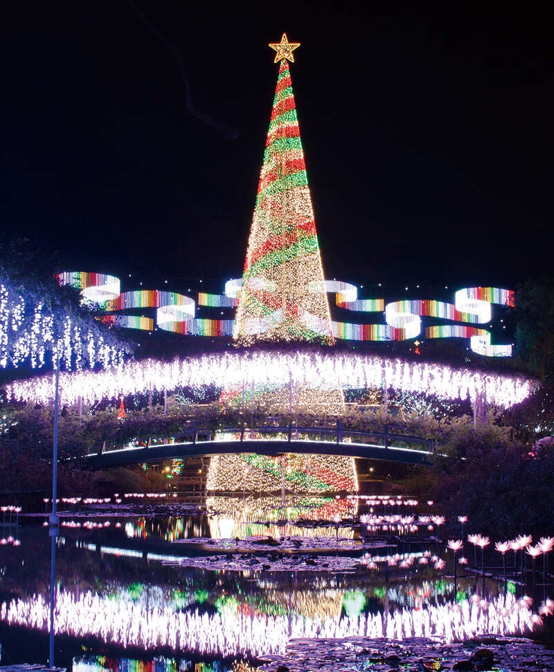 【神奈川県内・町田発】 日本が世界に誇る”500万球の光と花の芸術” あしかがフラワーパークイルミネーション＆相田みつをも愛した蕎麦屋「めん割烹なか川」で昼食　日帰り2