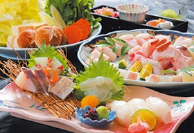 三宮・西宮・新大阪　発
紀州地魚料理民宿松林で食す！幻の高級魚 天然本クエコース！1