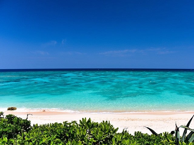 【与論島/美しいビーチをクルージング】ウミガメに出会えるかも？？☆プリシアリゾートヨロン指定3泊4日2