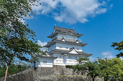 ＜福岡発/2名様一室利用＞日本100名城めぐり　関東　名城めぐり 4日間
