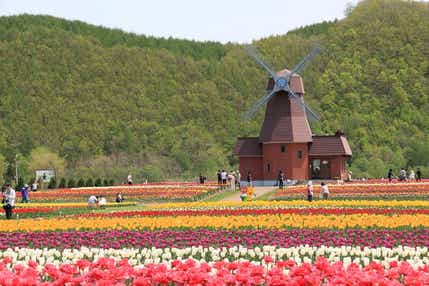 【大分空港発】 春彩る！北海道グルメカーニバル＆フラワーハーモニー３日間