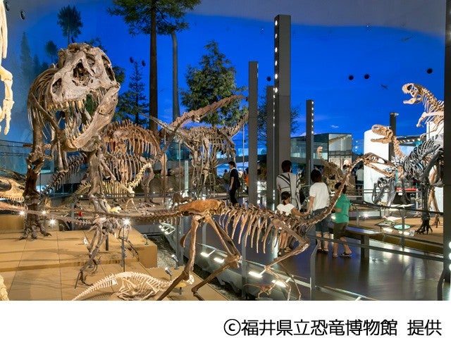 ■夏休み企画！　恐竜王国福井満喫　福井県立恐竜博物館入館＆化石発掘体験と恐竜の森探検　日帰りバス付き　2日目は金沢市内を自由観光！　金沢市内ホテルチョイスプラン　1泊2日2