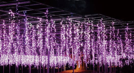 パワースポット巡り☆煌びやかなイルミ☆
出流原弁天池湧水・あしかがフラワーパークイルミネーションツアー