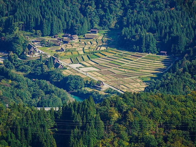 【名古屋発】■２０２６年１０月１１日（日）■白山白川郷ホワイトロードと紅葉の「立山室堂」　１泊２日　♪名鉄の泊りハイキング1