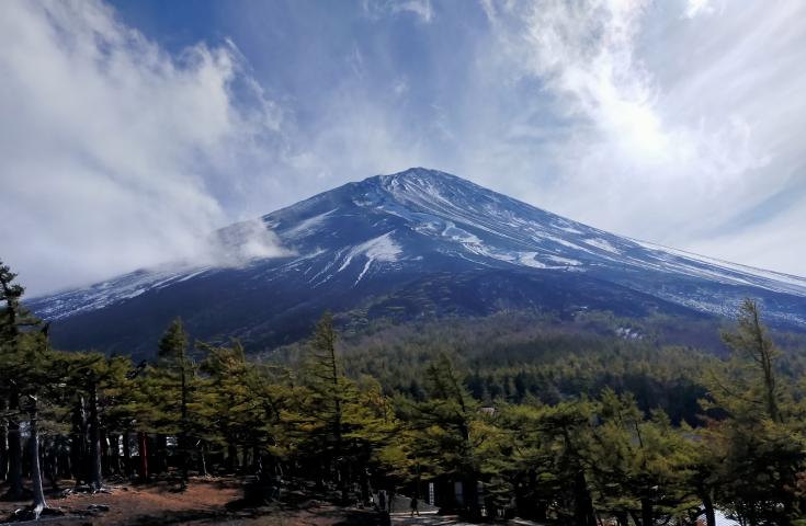 【早割30】[横浜発]贅沢『松阪牛しゃぶしゃぶ』付きズワイガニ食べ放題!!さらに赤い宝石『サクランボ狩り』食べ放題♪爽やかな富士山五合目や花咲く河口湖畔散策、老舗ワインセラーで試飲体験等、山梨の魅力探訪日帰りバスツアー！3